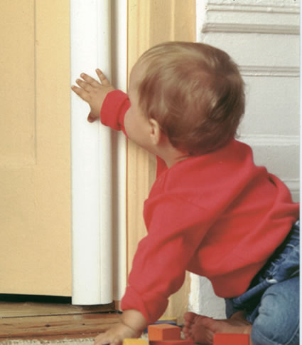 Door Hinge Shield